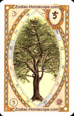 The tree, monthly Love and Health horoscope November Leo