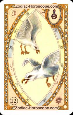 The birds, monthly Love and Health horoscope November Leo