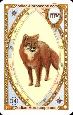 The fox, monthly Love and Health horoscope April Leo