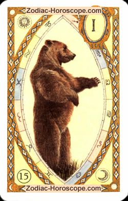 The bear, monthly Love and Health horoscope February Leo