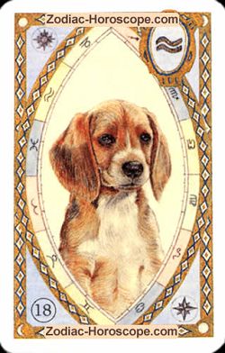 The dog, monthly Love and Health horoscope March Leo