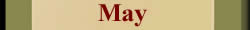 Daily Leo horoscope May
