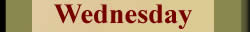 Daily Leo horoscope wednesday