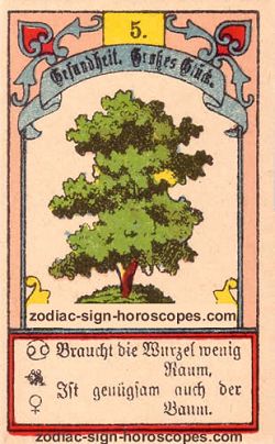 The tree, monthly Leo horoscope January