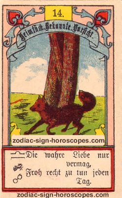 The fox, monthly Leo horoscope May
