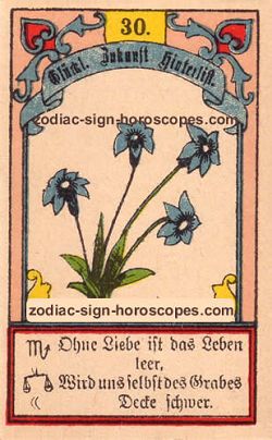 The lily, monthly Leo horoscope September